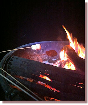 Roasting in Lime Kiln State Park, Big Sur